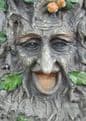 Garden  Feeder - Tree Man Bird Feeder - 30cm.
