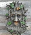 Garden  Feeder - Tree Man Bird Feeder - 30cm.