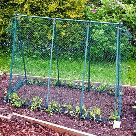 Garden Netting - for Fruit & Veg - Garden Netting, 15m 2 x 10m.