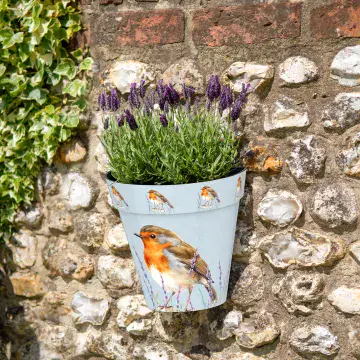 Garden Robin - Wall Planter 25cm - Made From Recycled Plastic