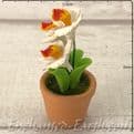 Gardeners World Handmade Miniatures - Orchids  in a Terracotta Pot - 4cm.