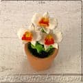 Gardeners World Handmade Miniatures - Orchids  in a Terracotta Pot - 4cm.