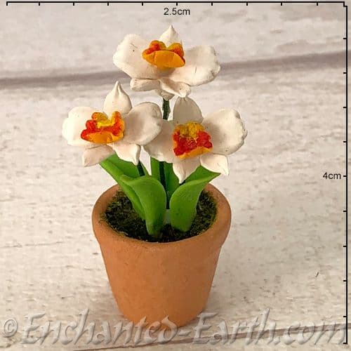 Gardeners World Handmade Miniatures - Orchids in a Terracotta Pot - 4cm.