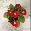 Gardeners World Handmade Miniatures - White Terracotta Pot  with Bright Red Flowers - 3.5cm.