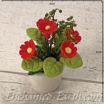 Gardeners World Handmade Miniatures - White Terracotta Pot with Bright Red Flowers - 3.5cm