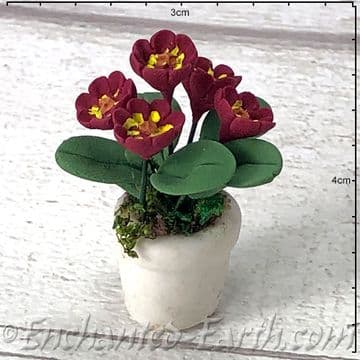 Gardeners World Handmade Miniatures - White Terracotta Pot with Deep Burgundy Flowers - 4cm