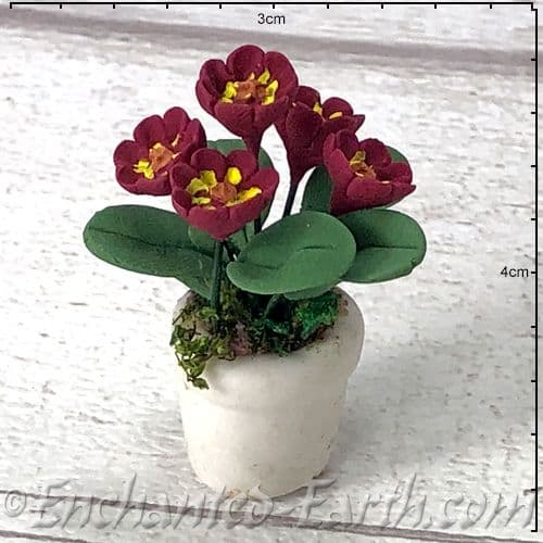 Gardeners World Handmade Miniatures - White Terracotta Pot with Deep Burgundy Flowers - 4cm.