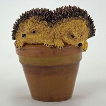 Gardeners World Miniatures - Pair of Hedgehog's in a Flower Pot - 5.5cm