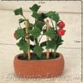 Gardeners World Miniatures - Terracotta Planter with Tomatoes - 7cm.