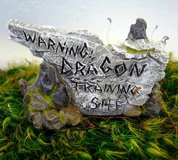 Georgetown fairy Garden Sign - Warning Dragon Training area
