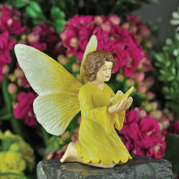 Georgetown /Fiddlehead -Alamanda the Moth Fairy