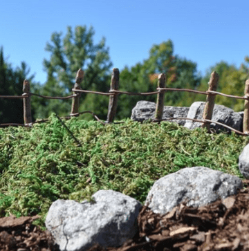 Georgetown/Fiddlehead - Cottage Garden Wire & Post Fence - 20cm