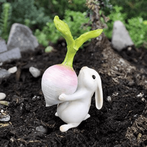 Georgetown - Fiddlehead Fairy Garden Bunny with Turnip.