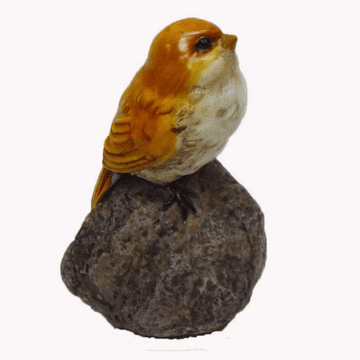 Georgetown - Fiddlehead- Garden Bird on a Rock