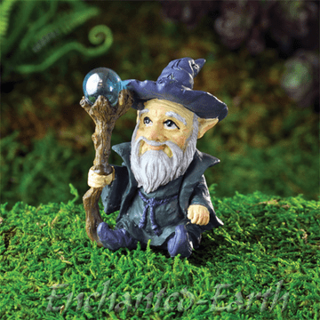 Georgetown -Fiddlehead Garden Gnome Wizard