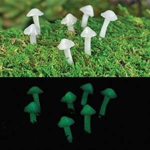 Georgetown Fiddlehead - Glow in the Dark Miniature Mushrooms (Set of 7)