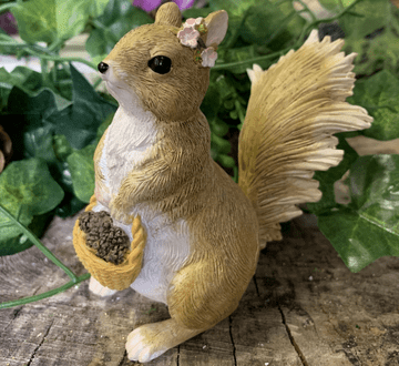 Georgetown Fiddlehead - Large Super Cute Squirrel - 10cm
