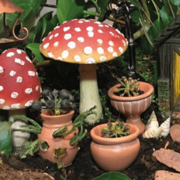 Georgetown/Fiddlehead - Miniature Terracotta Planter - 3 to choose from