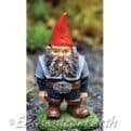 Georgetown / Fiddlehead  - Nick The Gnome.
