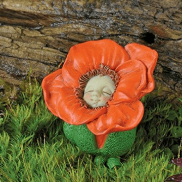 Georgetown - Fiddlehead Poppy Flower Bud Baby