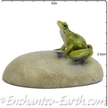 Georgetown Fiddlehead - Woodland Frog on a Rock - 5cm