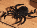 Giant Hairy Spiders - Pack of 2 - 10cm.