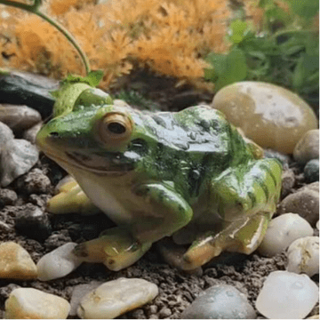 Glazed Garden Frog - 6cm