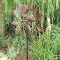 RHS Hampton Wind Spinner.