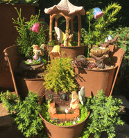 Hand Made Fairy Gardens