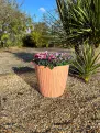 Harrogate Eco Planter  -  Recycled Plastic  -  Terracotta - Large 35cm.
