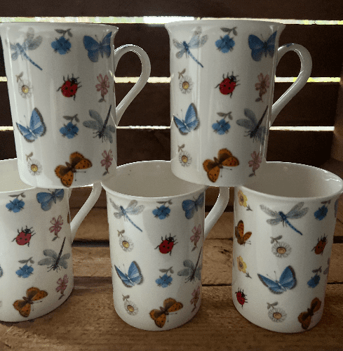 Health Macabe Collectable Mug - Garden Insect.