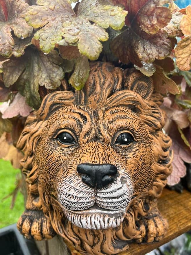 Heavy Lion Planter.