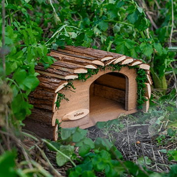 Hedgehog House/ Shelter