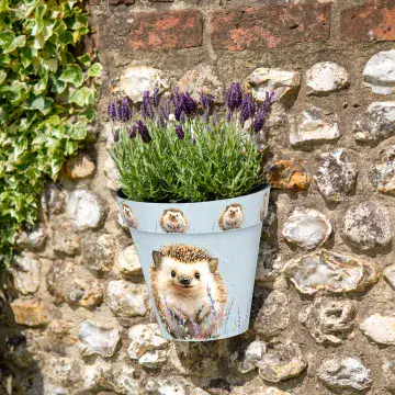 Hedgehog - Wall Planter 25cm - Made From Recycled Plastic