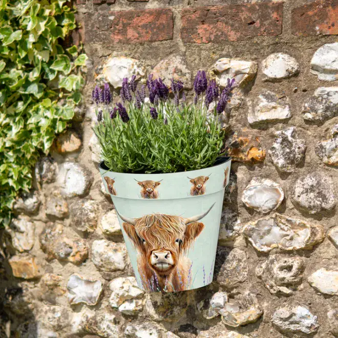 Highland Cow - Wall Planter 25cm - Made From Recycled Plastic.