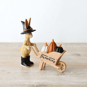 Jasper Rabbit Pumpkin Patch - 14cm