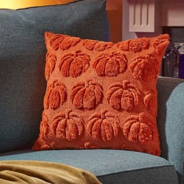 Large 40cm - Pumpkin Patch Super Soft Cushion