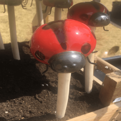 Large Ceramic Hand Painted LadyBird on a long stake.