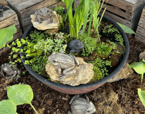Large Eco Planter- Instant Wildlife Pond - Black & Terricotta Bowl - 60cm.