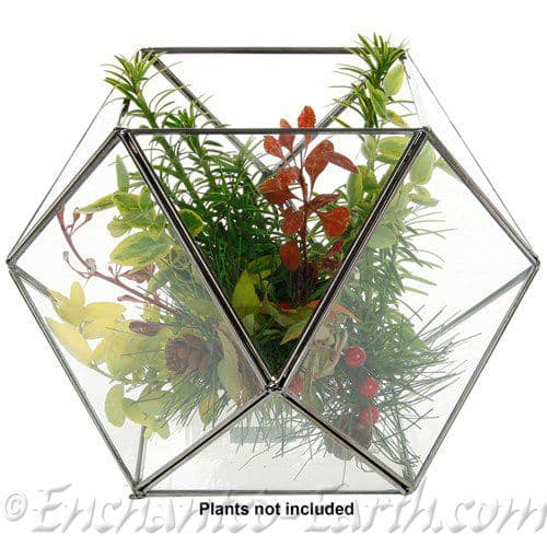 Large Glass Ball Terrarium