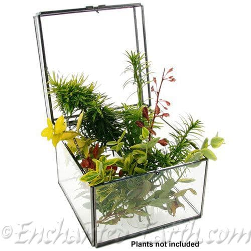 Large Glass Square Terrarium