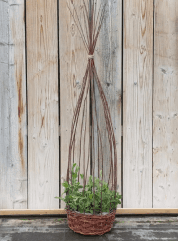Large Handmade Natural Willow Sweet Pea basket