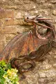 Large Wall Metal Dragon -  Garden Sculpture - 96cm (.