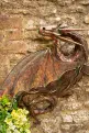 Large Wall Metal Dragon -  Garden Sculpture - 96cm (.