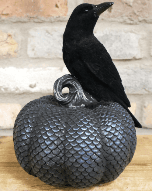 Limited Editon - Black Crow on a Pumpkin.