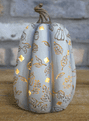Limited Editon - Light Up Pumpkin - Three to choose from.
