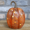 Limited Editon - Light Up Pumpkin - Three to choose from.