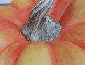 Limited Editon - Reggie the Giant Pumpkin - 40cm.