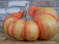 Limited Editon - Reggie the Giant Pumpkin - 40cm.
