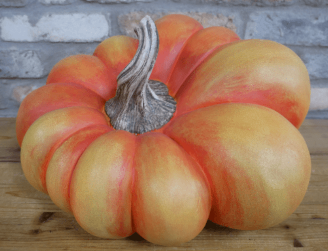 Limited Editon - Reggie the Giant Pumpkin - 40cm.
